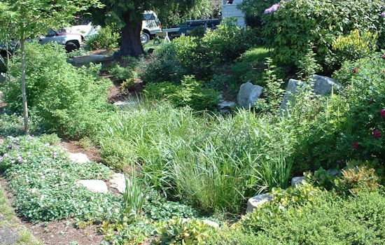 Sammamish Conducts Rigorous Private Stormwater System Inspections to Ensure Compliance and Environmental Protection