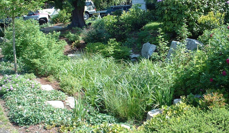 Sammamish Conducts Rigorous Private Stormwater System Inspections to Ensure Compliance and Environmental Protection