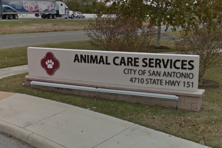 San Antonio's Animal Care Services Warns Pet Owners to Shelter Animals Amidst Freezing Temperatures