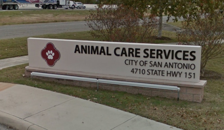 San Antonio's Animal Care Services Warns Pet Owners to Shelter Animals Amidst Freezing Temperatures