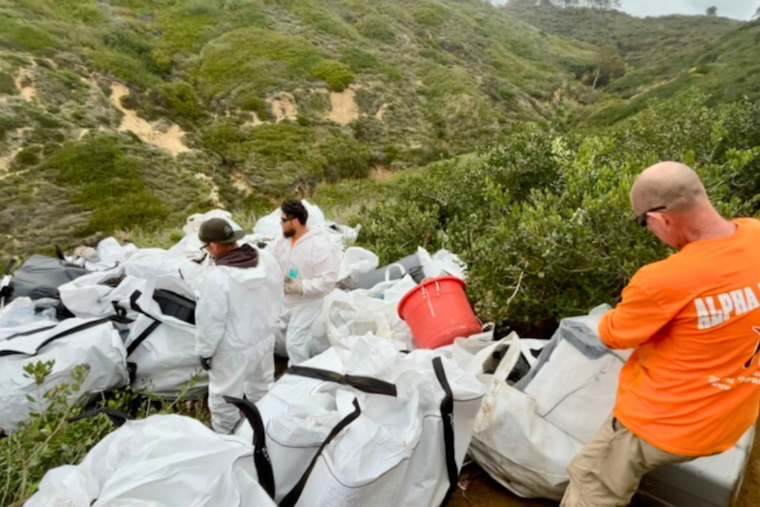 San Diego Removes Four Tons of Waste from Former Encampment by Torrey Pines Gliderport
