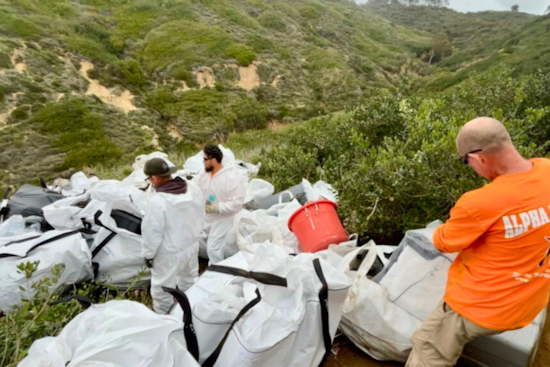 San Diego Removes Four Tons of Waste from Former Encampment by Torrey Pines Gliderport