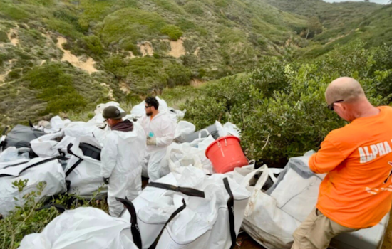 San Diego Removes Four Tons of Waste from Former Encampment by Torrey Pines Gliderport