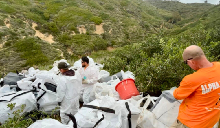San Diego Removes Four Tons of Waste from Former Encampment by Torrey Pines Gliderport