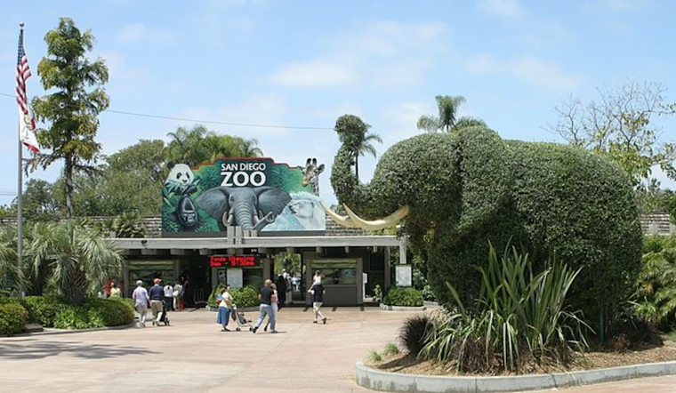 San Diego Zoo Invites Public to Name New Sloth Bear Cubs in Conservation Awareness Campaign