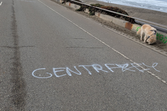 San Francisco's Ocean Beach Park Monuments Marred by Vandalism Amid Rising Community Enthusiasm