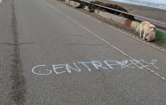 San Francisco's Ocean Beach Park Monuments Marred by Vandalism Amid Rising Community Enthusiasm