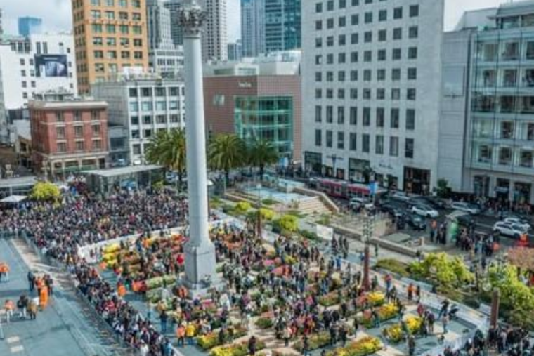 San Francisco's Union Square to Blossom with 80,000 Tulips for International Women's Day and Spring Celebration