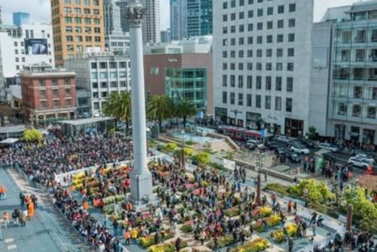 San Francisco's Union Square to Blossom with 80,000 Tulips for International Women's Day and Spring Celebration