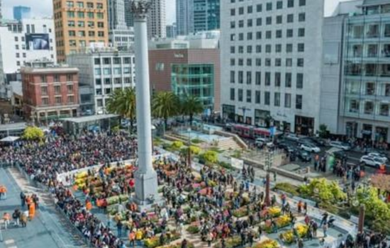 San Francisco's Union Square to Blossom with 80,000 Tulips for International Women's Day and Spring Celebration
