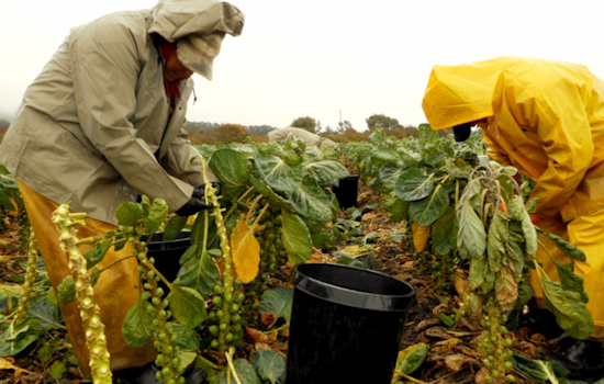 San Mateo County Celebrates Farmworker Awareness Week with Cultural and Educational Events