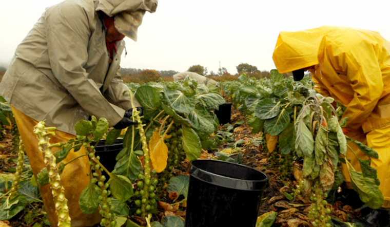 San Mateo County Celebrates Farmworker Awareness Week with Cultural and Educational Events