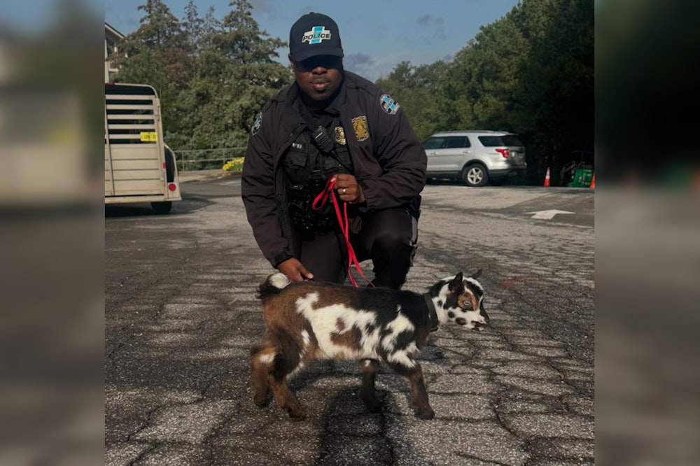 Sandy Springs Police Department Welcomes Unconventional Recruit, K-9 Jumper the Goat