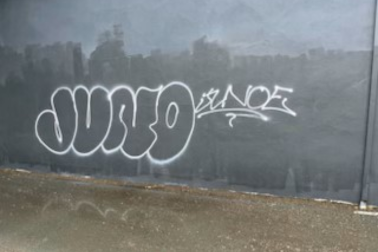 Santa Rosa Police Detain Two Juveniles Suspected of Felony Vandalism Following Foot Chase