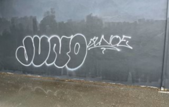 Santa Rosa Police Detain Two Juveniles Suspected of Felony Vandalism Following Foot Chase