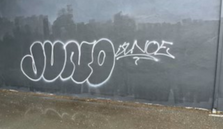 Santa Rosa Police Detain Two Juveniles Suspected of Felony Vandalism Following Foot Chase