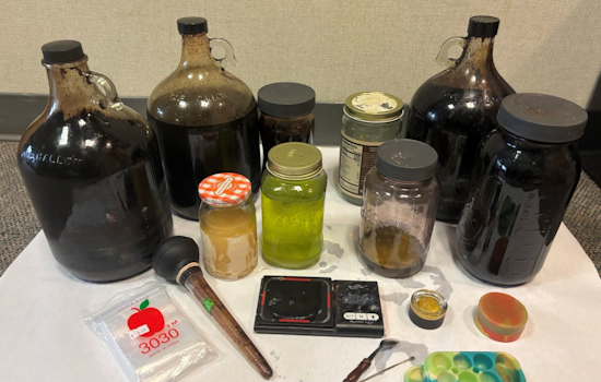 Santa Rosa Woman Arrested for DMT Manufacturing and Child Endangerment