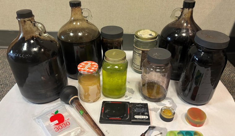 Santa Rosa Woman Arrested for DMT Manufacturing and Child Endangerment