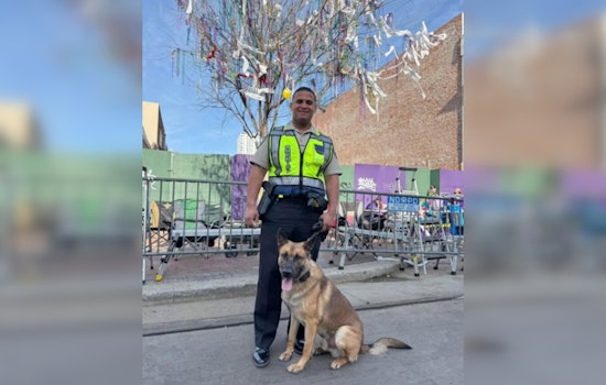 SBSO Highlights Collaboration with NOPD for Enhanced Mardi Gras Safety in New Orleans
