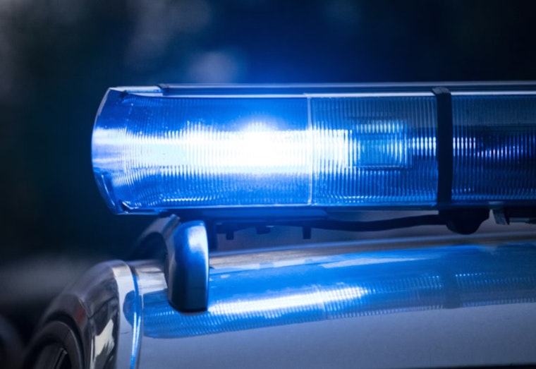 Search Continues for Woman Swept Away by Carbon River in Pierce County, Dog Found as Concerns Grow