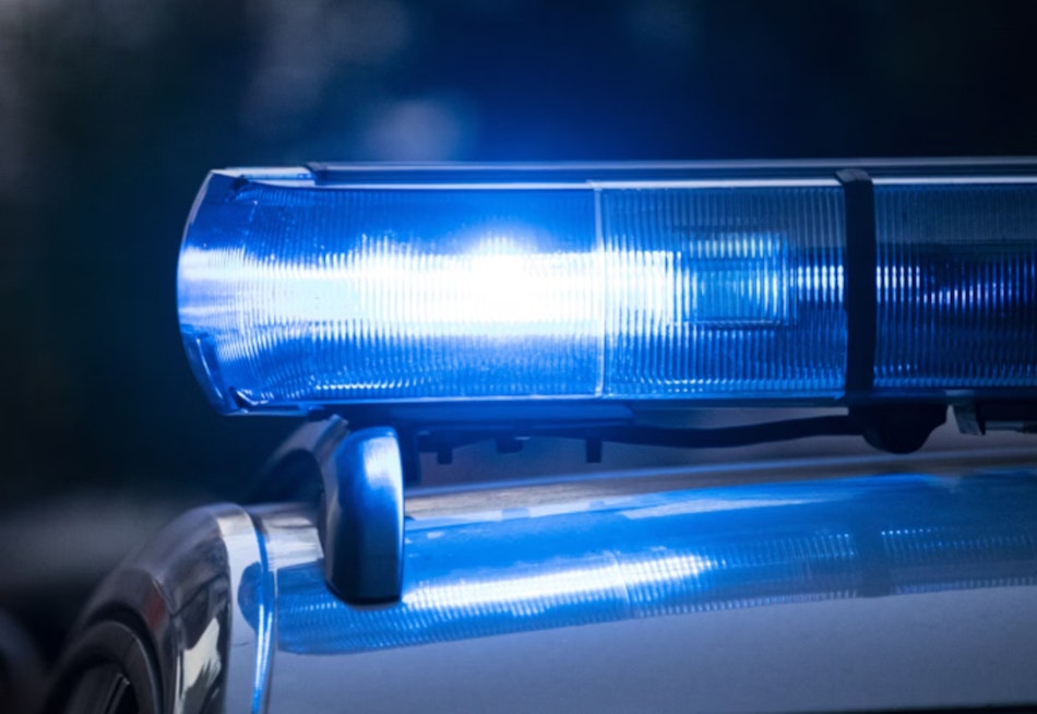 Search Continues for Woman Swept Away by Carbon River in Pierce County, Dog Found as Concerns Grow