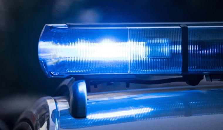 Search Continues for Woman Swept Away by Carbon River in Pierce County, Dog Found as Concerns Grow