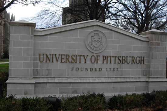 Search for Missing University of Pittsburgh Student Intensifies in Dominican Republic, International Authorities Investigate Potential Accident