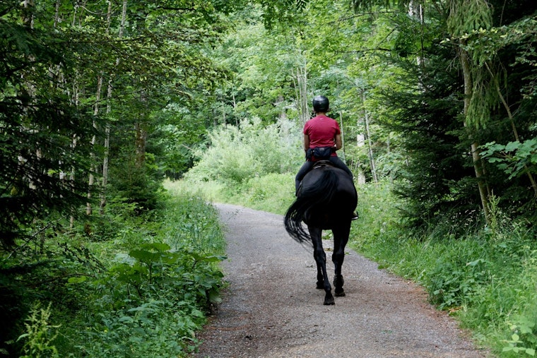 Seasonal Closure of Horse Trails at Pine Point and Lake Elmo Parks Announced by Washington County Officials