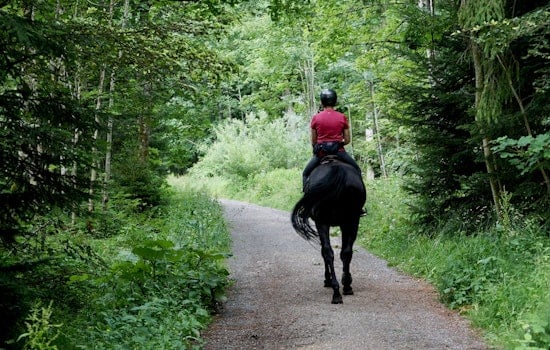 Seasonal Closure of Horse Trails at Pine Point and Lake Elmo Parks Announced by Washington County Officials