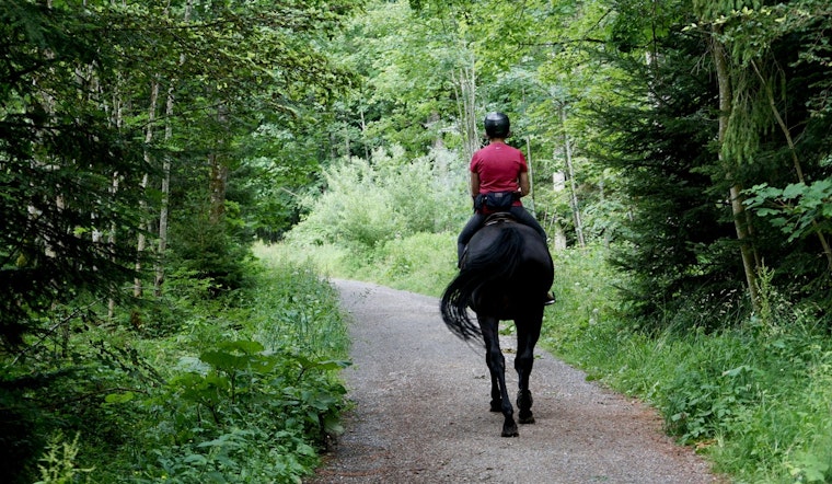 Seasonal Closure of Horse Trails at Pine Point and Lake Elmo Parks Announced by Washington County Officials
