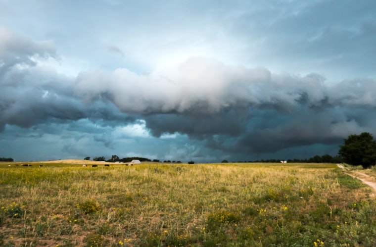 Seattle Braces for a Week of Clouds and Rain with Mild Temperatures, Says National Weather Service