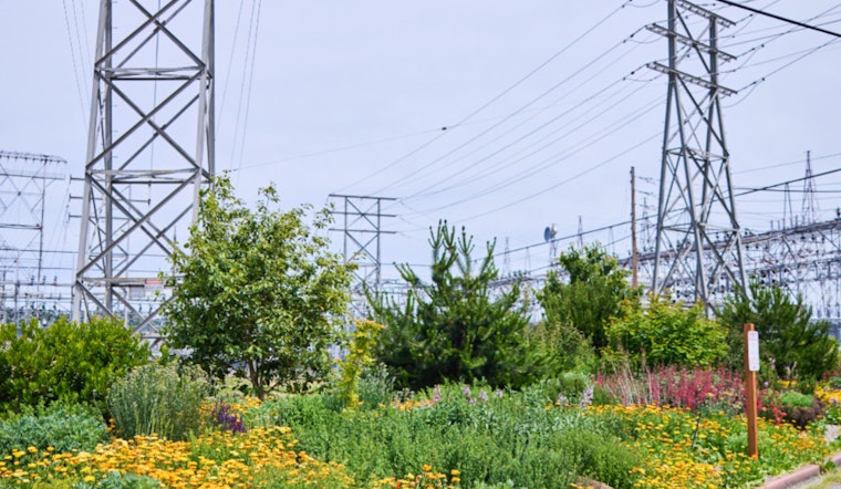 Seattle City Light Honored with Tree Line USA Award for 12th Consecutive Year
