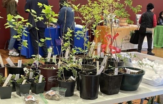 Seattle Embraces Earth Month with Array of Eco-Friendly Community Events and Volunteer Opportunities