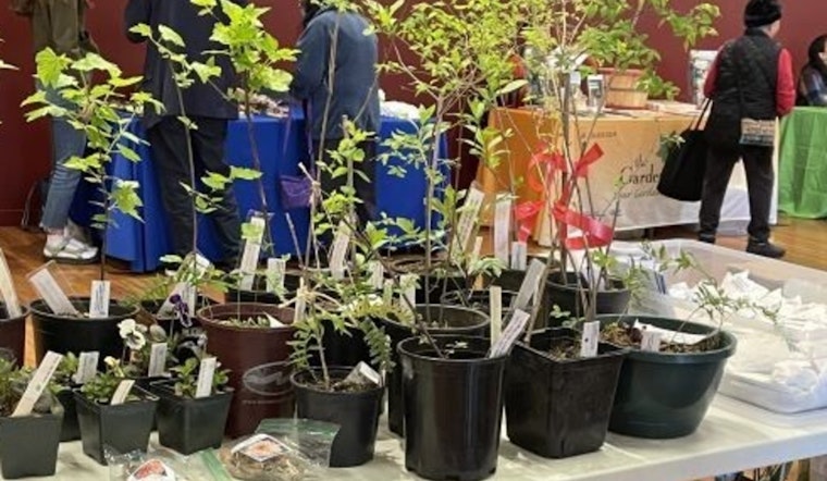 Seattle Embraces Earth Month with Array of Eco-Friendly Community Events and Volunteer Opportunities