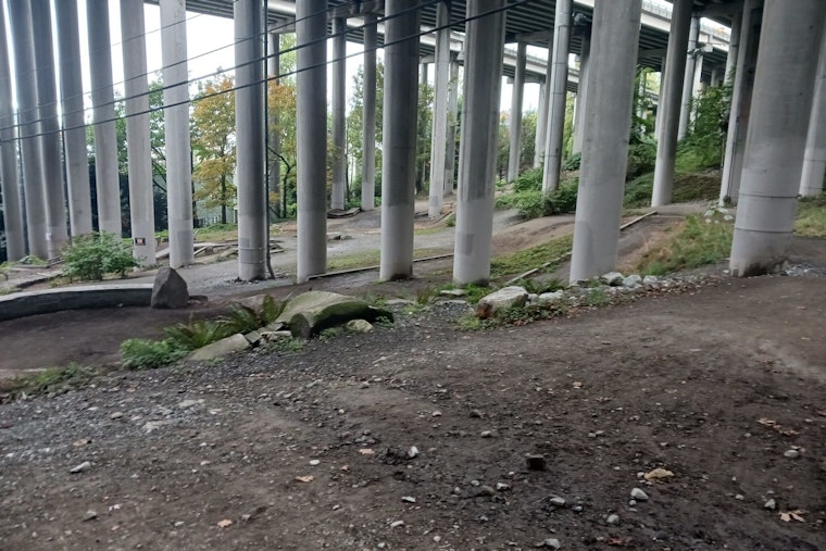 Seattle Enhances Outdoor Recreation with New Pump Track at I-5 Colonnade Park