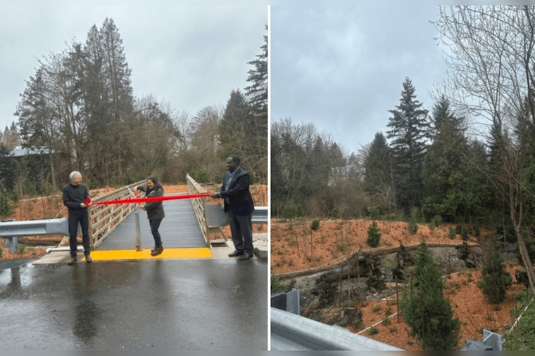 Seattle Unveils New Fish Passage and Pedestrian Bridge at Willow Creek Revitalization