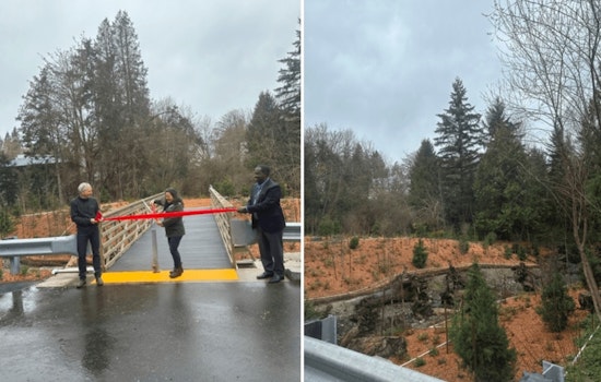 Seattle Unveils New Fish Passage and Pedestrian Bridge at Willow Creek Revitalization