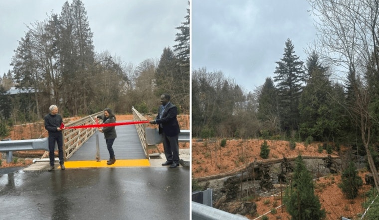 Seattle Unveils New Fish Passage and Pedestrian Bridge at Willow Creek Revitalization