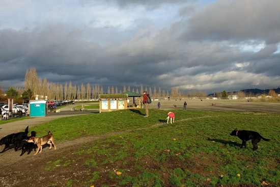 Seattle's Magnuson Off Leash Area Temporarily Closing for Fence Repairs March 10-12