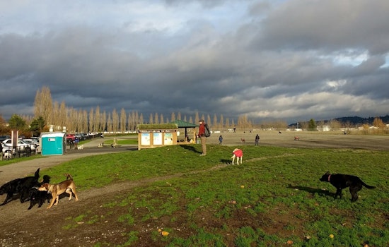 Seattle's Magnuson Off Leash Area Temporarily Closing for Fence Repairs March 10-12