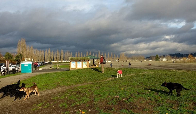 Seattle's Magnuson Off Leash Area Temporarily Closing for Fence Repairs March 10-12