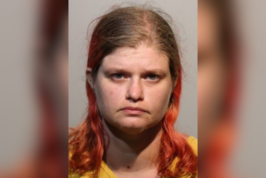 Seminole County Woman Sentenced to 7 Years for Animal Cruelty at Altamonte Springs Pet Rescue
