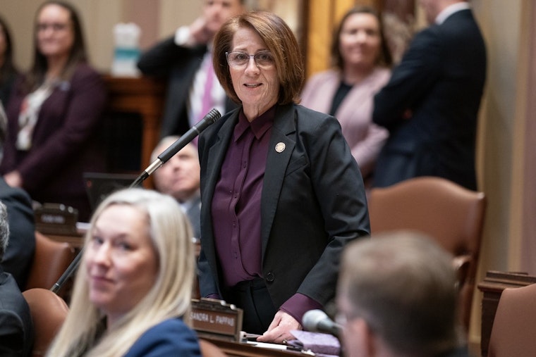 Senate Majority Leader Erin Murphy Condemns Minnesota's "Trump Derangement Syndrome" Bill as an Affront to Mental Health Care