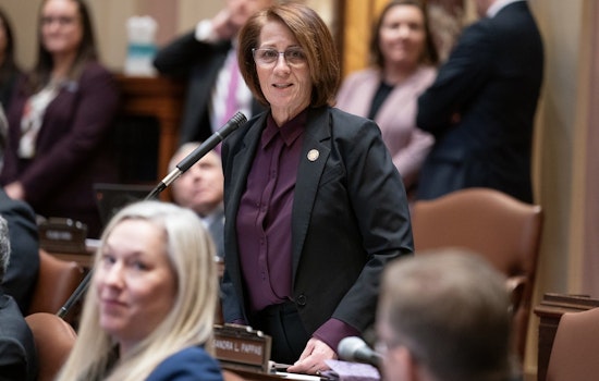 Senate Majority Leader Erin Murphy Condemns Minnesota's "Trump Derangement Syndrome" Bill as an Affront to Mental Health Care