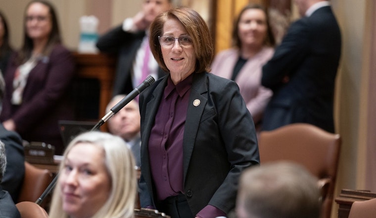 Senate Majority Leader Erin Murphy Condemns Minnesota's "Trump Derangement Syndrome" Bill as an Affront to Mental Health Care