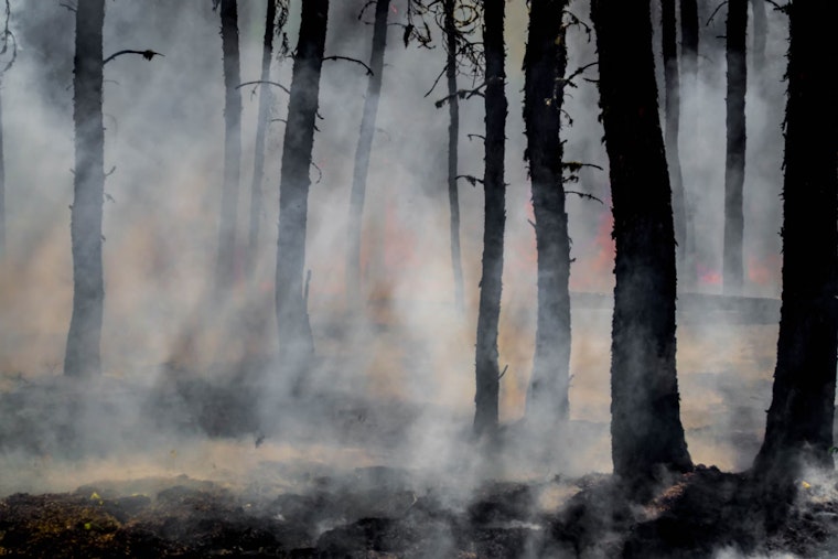 Sevier County Firefighters Battle Brush Fire Near Pigeon Forge, Residents Urged to Exercise Caution