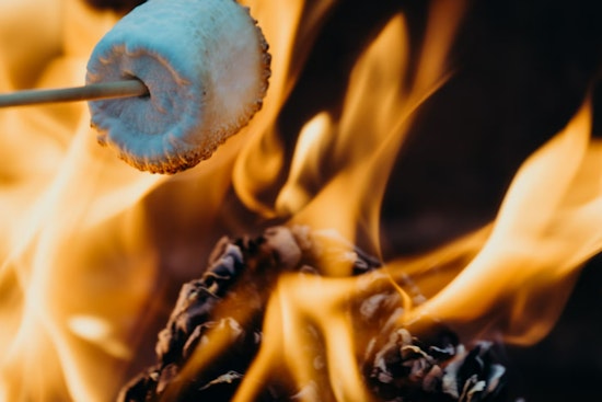 S'mores Attempt Ignites Destructive Brush Fires Over 400 Acres on Long Island