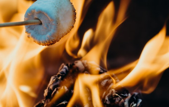 S'mores Attempt Ignites Destructive Brush Fires Over 400 Acres on Long Island