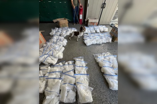 South Gate Police Seize Over 300 Pounds of Meth Valued at $1 Million; K-9 Unit Key in Major Drug Bust Near Los Angeles