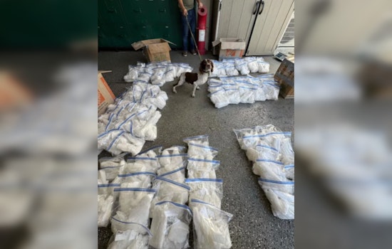 South Gate Police Seize Over 300 Pounds of Meth Valued at $1 Million; K-9 Unit Key in Major Drug Bust Near Los Angeles